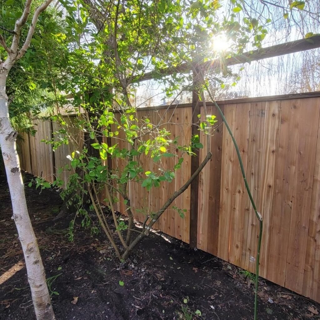 Instagram post from dynamicfencing. This post is in position 23.