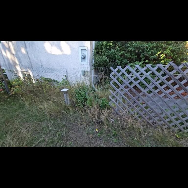 Instagram post from dynamicfencing. This post is in position 11.