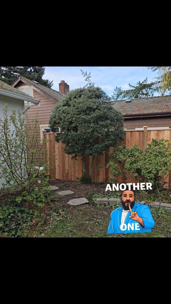 Instagram post from dynamicfencing. This post is in position 2.