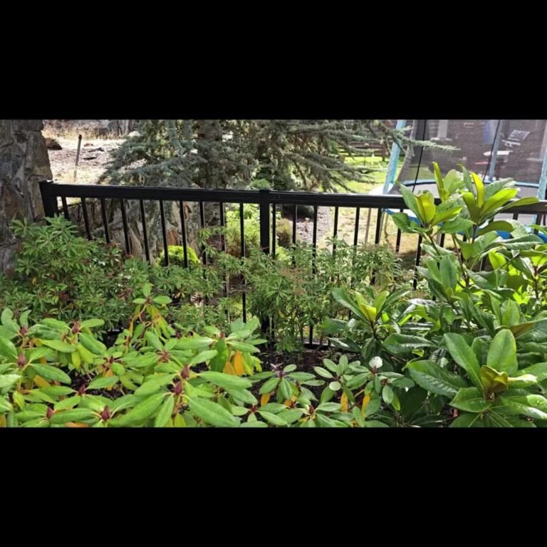 Instagram post from dynamicfencing. This post is in position 13.