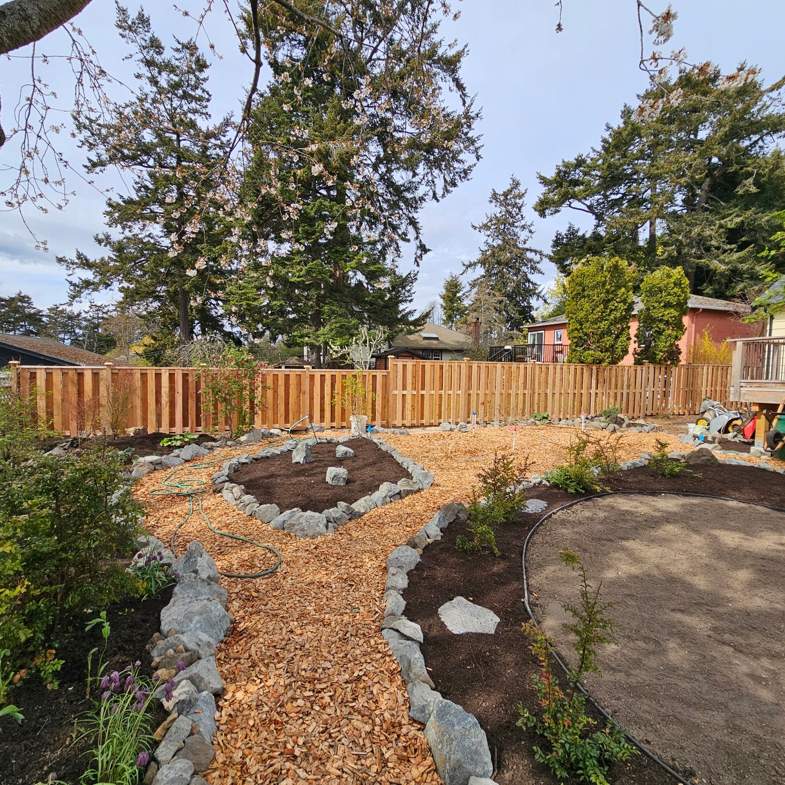Cedar good-neighbour fence around a landscaped garden with bark mulch paths